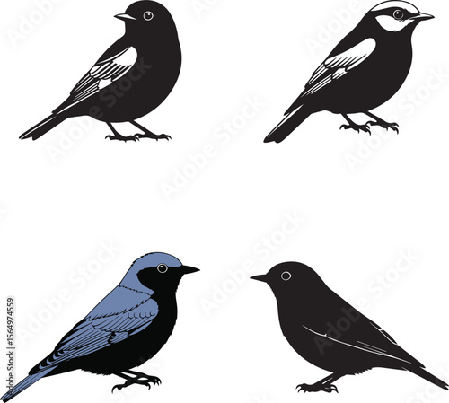 vector illustration of blue bird