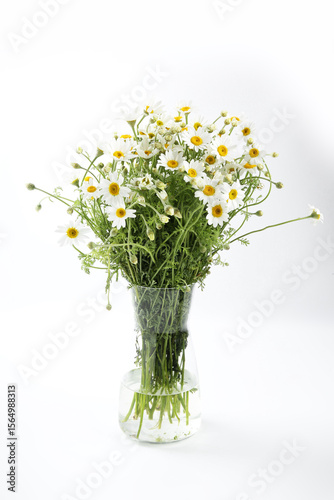Wallpaper Mural Beautiful chamomile flowers in glass vase on white background Torontodigital.ca