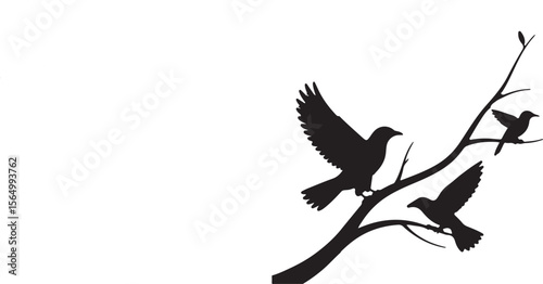 Elegant Black Silhouette Birds on Branch: Aviary, Nature, Wildlife, Vector Illustration