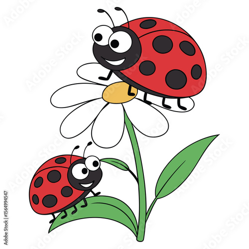 ladybug on a flower on a white background