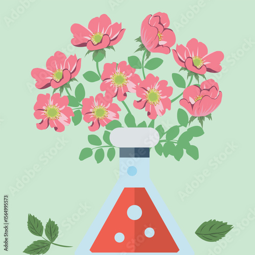 flowers in vase