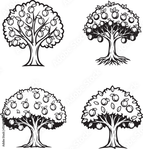 Plum  tree Silhouettes