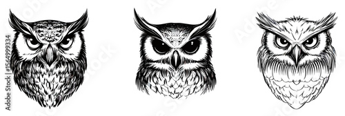 Set of three detailed black and white hand drawn angry owl heads with intense eyes and feather texture in sketch style vector illustration