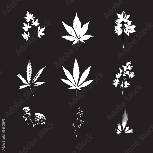 cannabis leaf vector