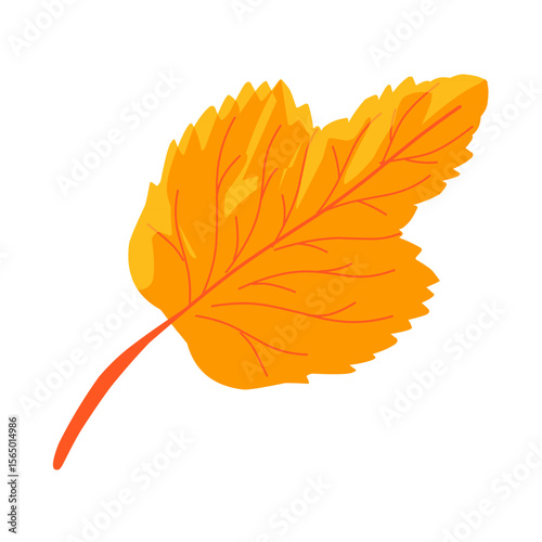 autumn leaves vector illustration,autumn plants,dry leaves falling from trees