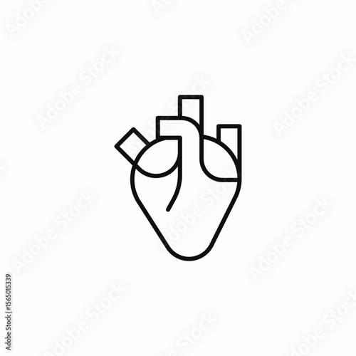 anatomical heart organ icon sign vector