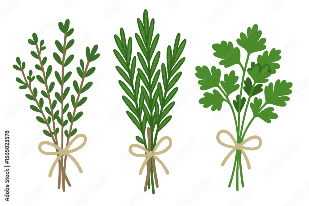 Fototapeta premium Herbs bundle vector illustration - flat design for culinary and botanical projects
