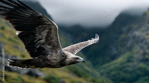 Majestic bird of prey soaring above majestic mountains
