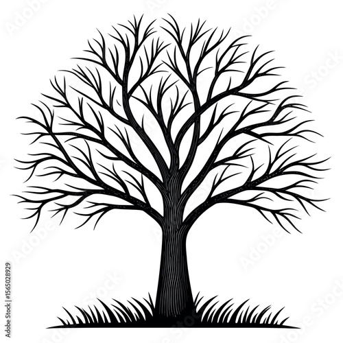 Black bare tree with grass branches white