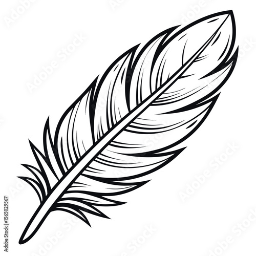 Black feather quill drawing white