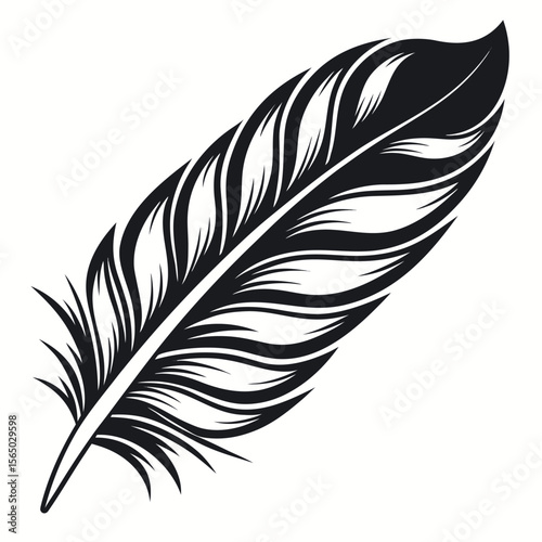 Black feather with detailed barbules white quill