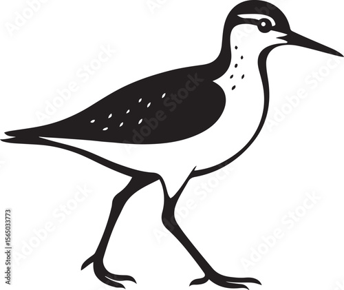 Sanderling bird profile vector art, Shorebird side view black and white design