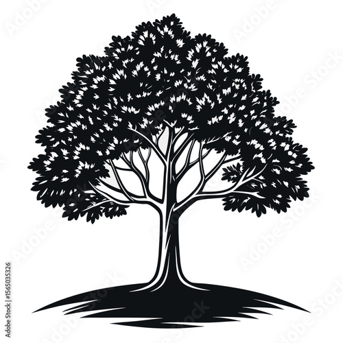 Majestic deciduous tree silhouette black white