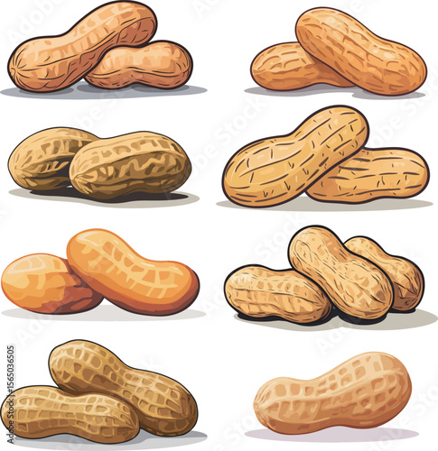Cartoon peanut illustration material

