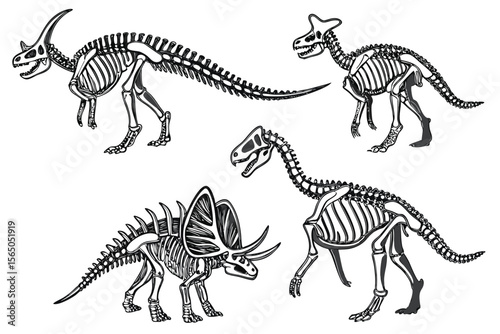 Dinosaur Skeletons Set