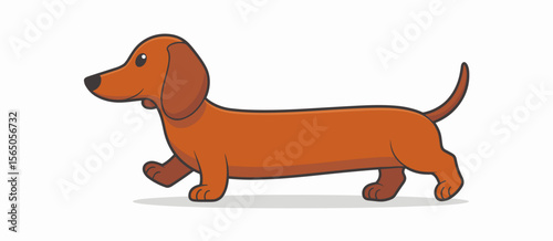 Cartoon Dachshund walking, long dog breed animal illustration, pet dog, cute dog