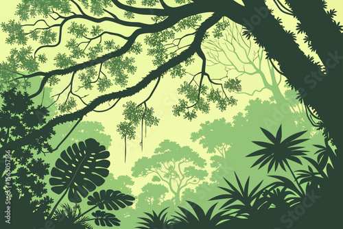 Rainforest Canopy from Top View – Vector.