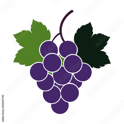 bunch of grapes