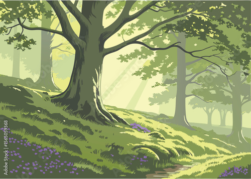 Sun-dappled beechwood clearing – vector illustration of forest glade with sunlight filtering through trees