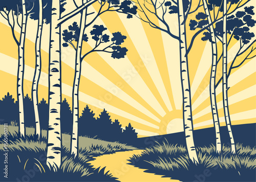 Sunset rays in birch grove – vector illustration of golden sunlight filtering through birch trees