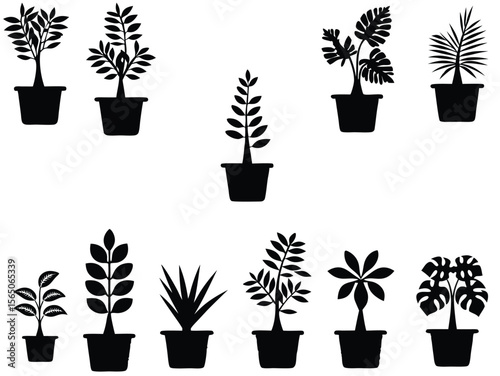 Silhouettes of Potted Houseplants and Indoor Plant Collection in Black