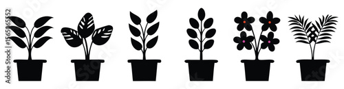 vector set of silhouette icons of plants in pots