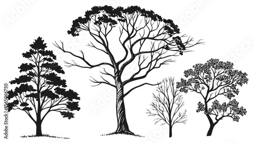 Silhouettes of various tree species showcasing diverse shapes and sizes.