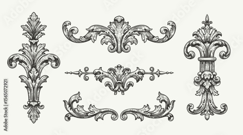 Hand drawn vector retro victorian ornaments set. engraving illustration of Floral decorative vector elements set, rococo and baroque style, vintage royal details