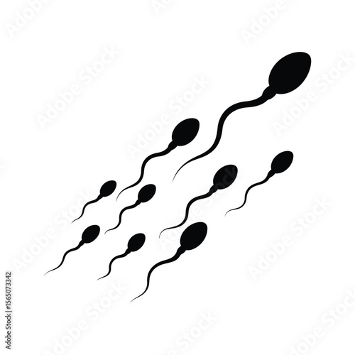 Black Sperm Cells on White Background spermatozoon