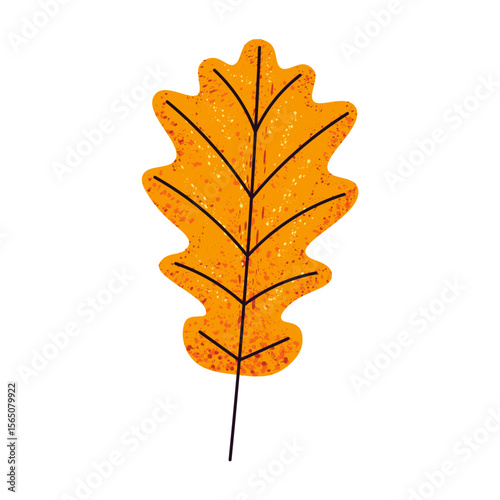 Oak orange autumn leaf. Bright stylized autumn leaf of oak