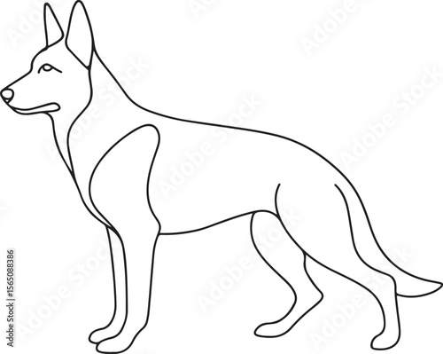 Shepherd Dog Black and White Line Drawing Vector Outline on White Background