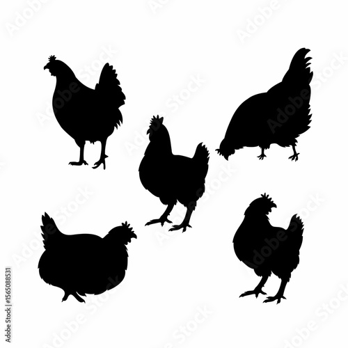 five sets of chicken silhouettes that you can use for breeding