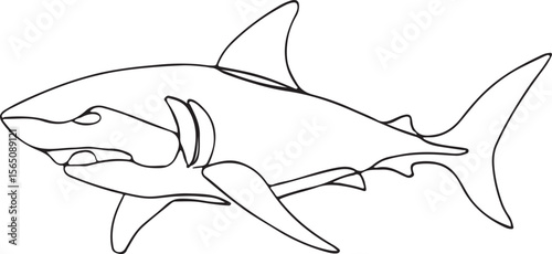 Ocean Shark Line Drawing Powerful Marine Animal Vector on White