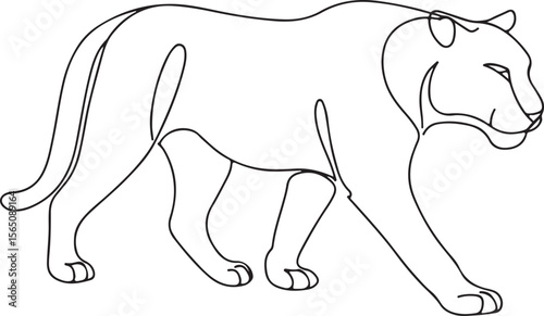 Tiger Line Art Illustration Majestic Jungle Predator Vector on White