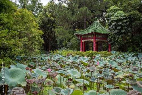 Taipei Botanical Garden (台北植物園)