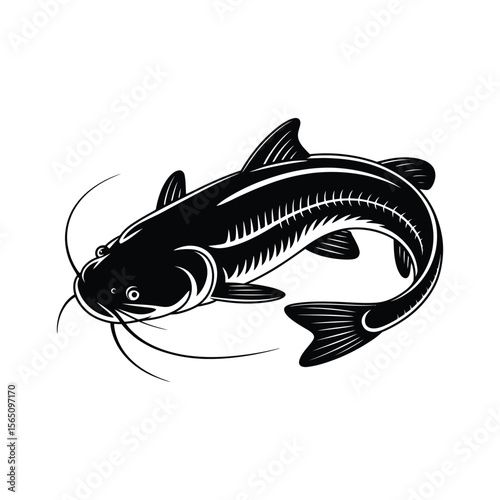 Black and White Catfish Illustration on White Background