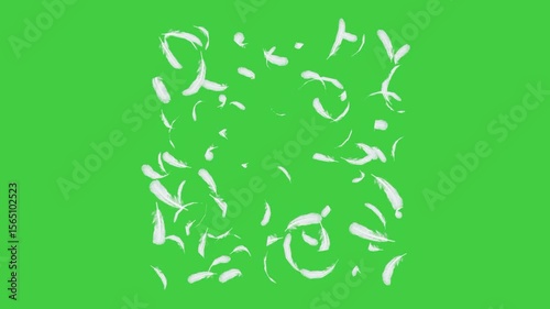 Soft black feathers floating gently in the air on a transparent background. Elegant feather particles drifting slowly, ideal for overlays, dreamy atmospheres, or adding a peaceful, magical touch to vi