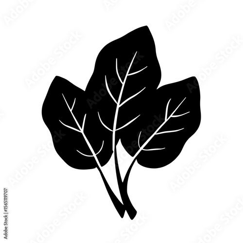 Minimalist black silhouette of spinach leaves with delicate lines on a white background
