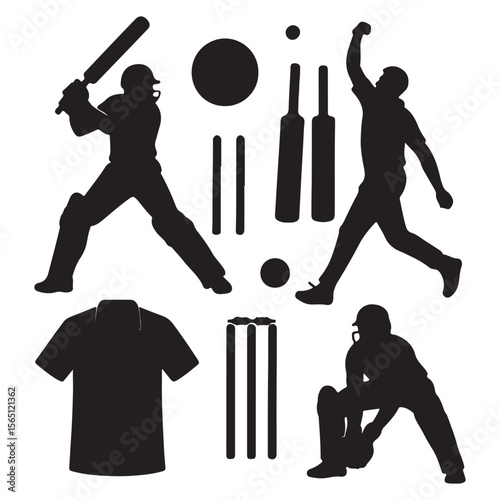 Cricket Players in Action Silhouettes