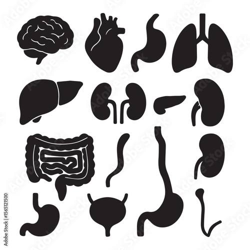 Simple Black Silhouette Illustration of Human Internal Organs