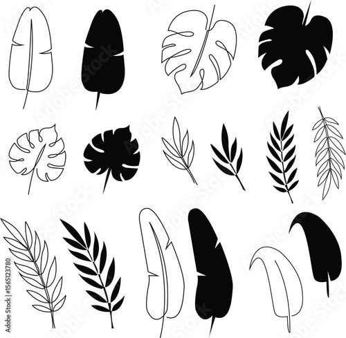 Art & Illustration  Leaf Lines & Silhouettes