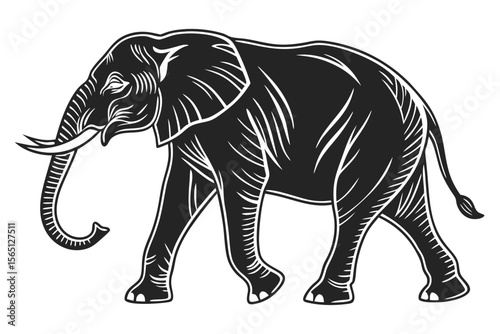 elephant sihouette black vector