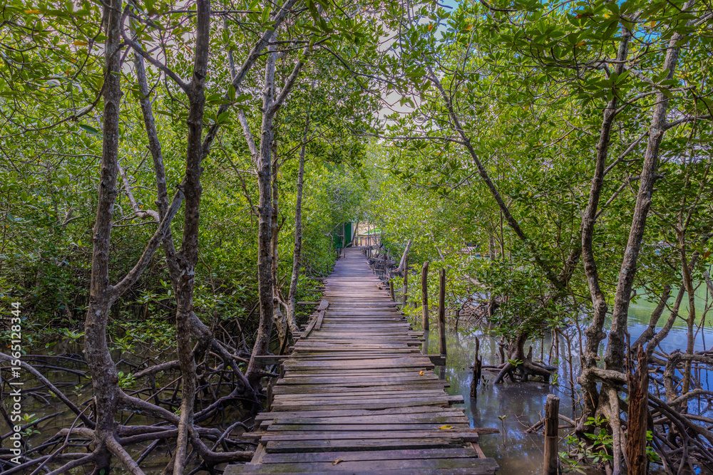 Fototapeta premium mangrove's at Bang Rong Pier wharf in phuket lots of speed boats long tail and ferry which take you to Koh Yao Yai Island which is only half hour from pier by boat phuket Thailand 