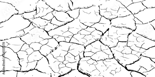 Black and white cracked earth texture with deep fissures, symbolizing extreme dryness, environmental damage, or climate change. Ideal for nature backgrounds, drought themes, or abstract design use.