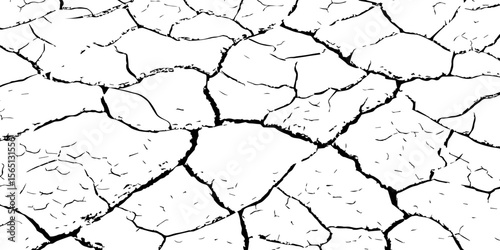 Black and white cracked earth texture with intricate patterns, symbolizing extreme drought, environmental stress, or parched landscapes. Perfect for backgrounds, climate themes, or natural decay visua
