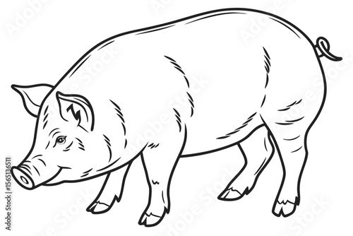 coloring page lineart the pig black vector