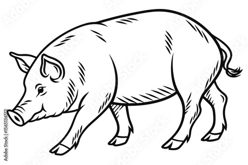 coloring page lineart the pig black vector