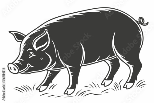 coloring page lineart the pig black vector