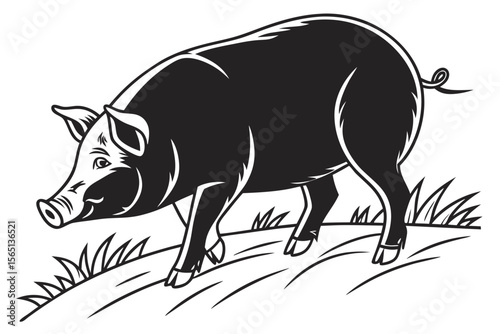 coloring page lineart the pig black vector