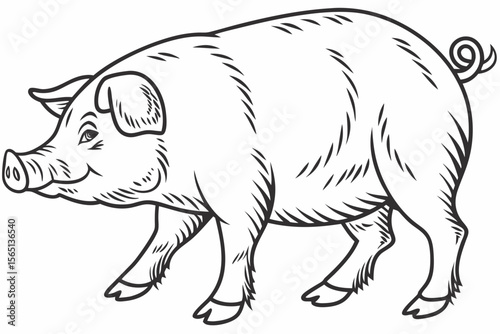 coloring page lineart the pig black vector